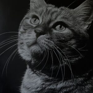 Commande personnalisée - Marine Tassou